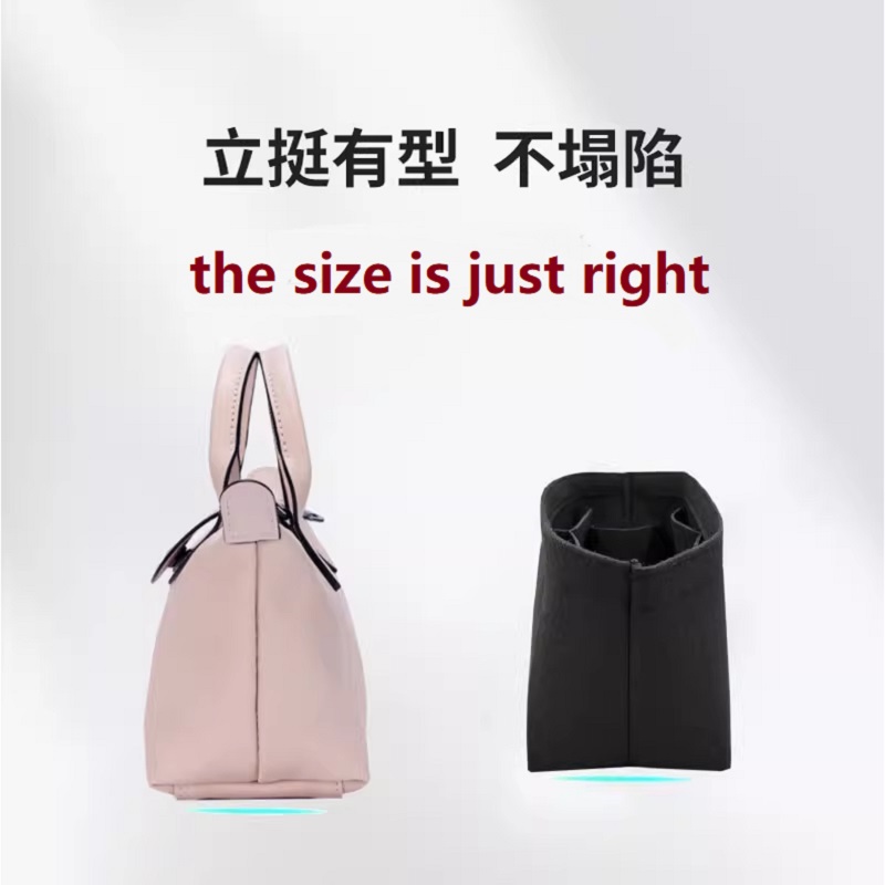Bag Organizer For Longchamp En - Women'S Bags Longchamp 评论和价格