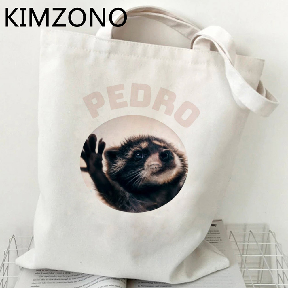 Mapache shopping bag reusable  - Women Bags Jute 评论和价格