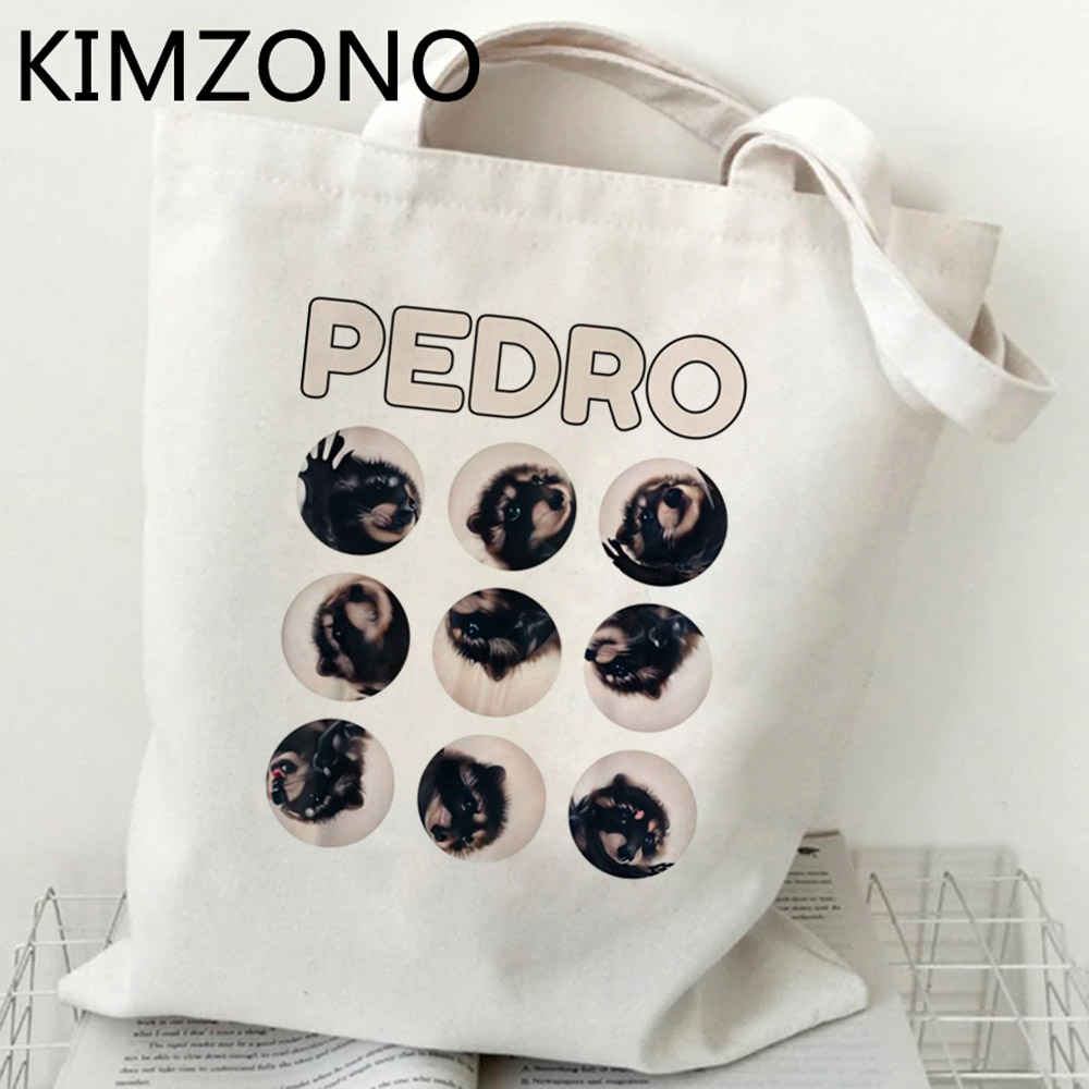 Mapache shopping bag reusable  - Women Bags Jute 评论和价格